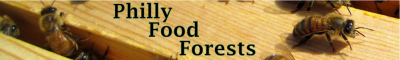 Philly Food Forests