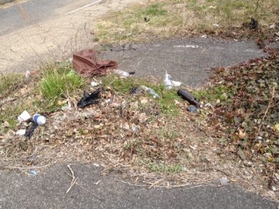 40 ounce bottles before Lemon Street Cleanup