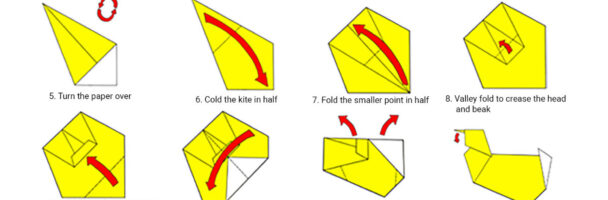 How to Make Paper Duck Step by Step