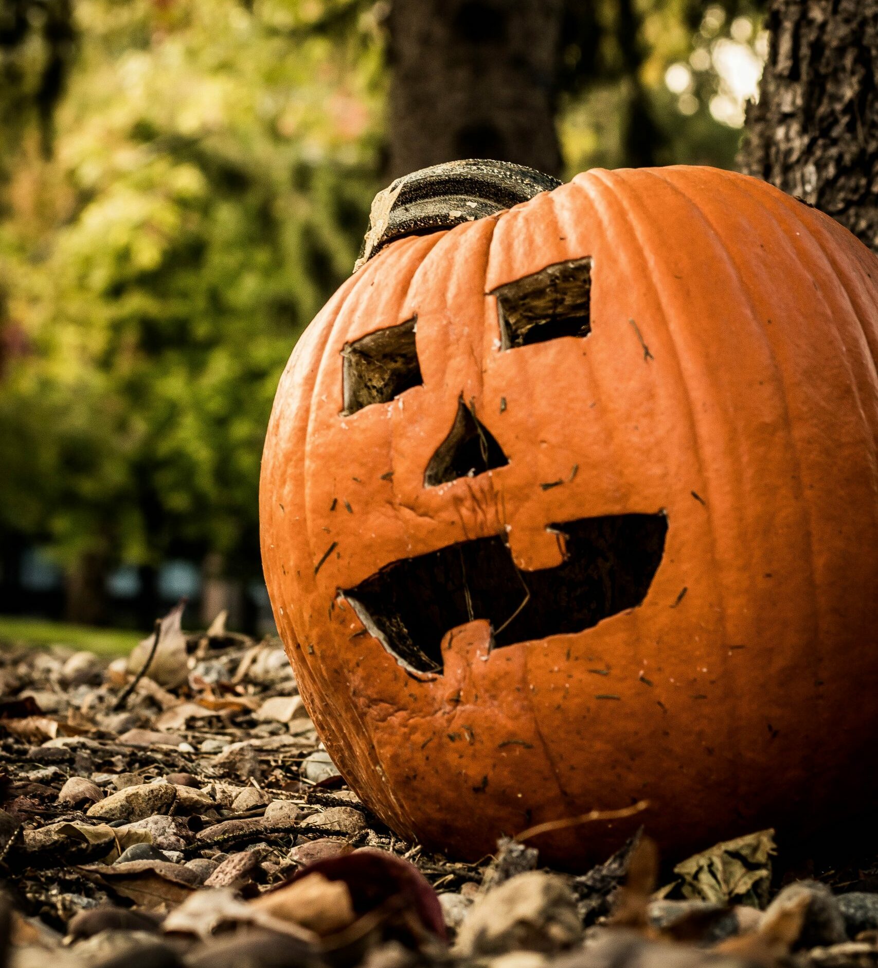 Tissue Paper Jack-O-Lantern Preschool Craft - A Crafty Spoonful