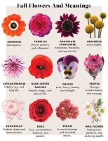Explore the beauty and meaning of flowers | Art Sphere Inc.