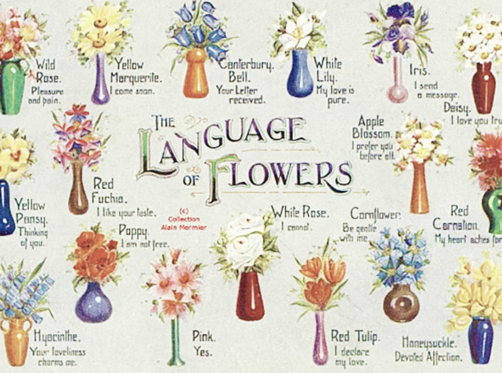 a victorian flower dictionary the language of flowers companion