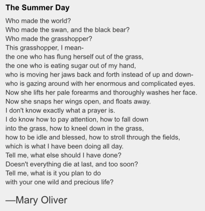 owls by mary oliver