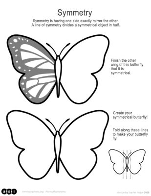 Butterfly Symmetry Handout