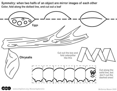 Caterpillar Life Cycle Handout