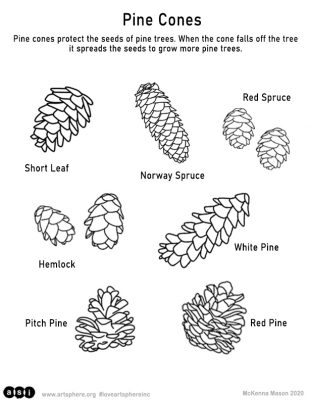 Pine Cone Handout