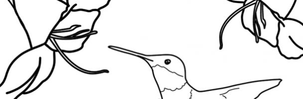 Ruby-Throated Hummingbird Handouts