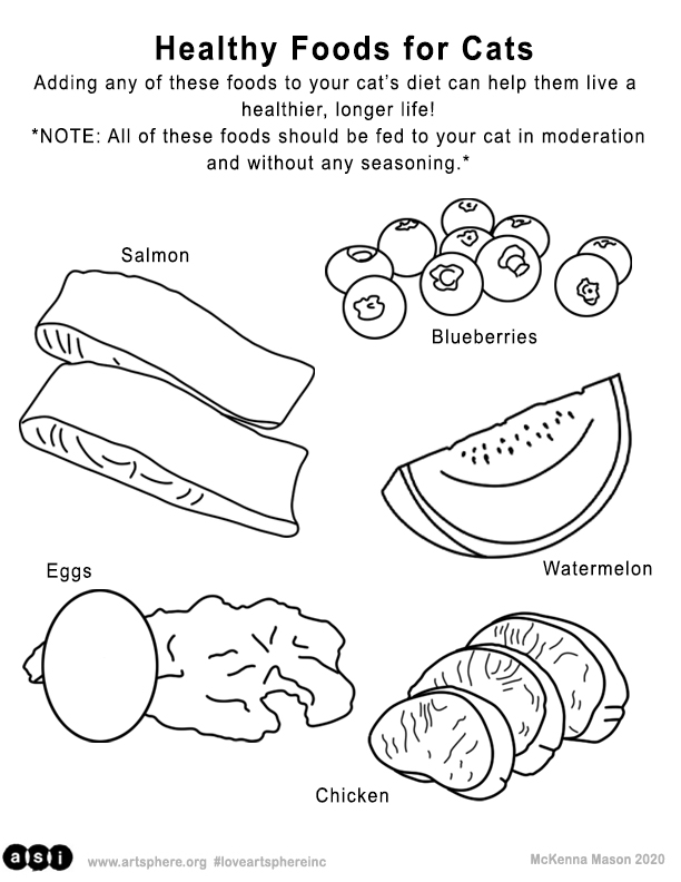 food puzzles for cats handout