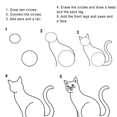 How to Draw a Cat Handout