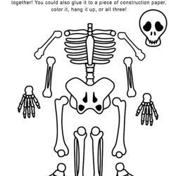 Skeleton Cut Out Handout | Art Sphere Inc.