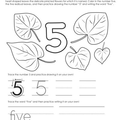 Count to 5 & 6 with Autumn Leaves!