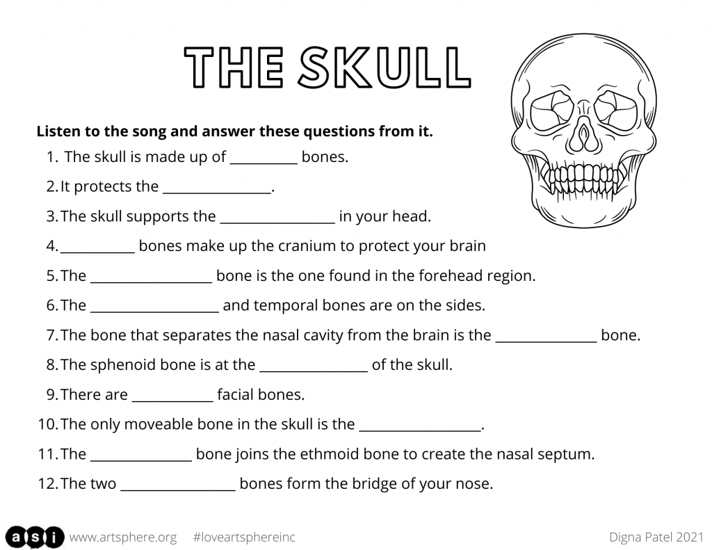 The Skull | Art Sphere Inc.