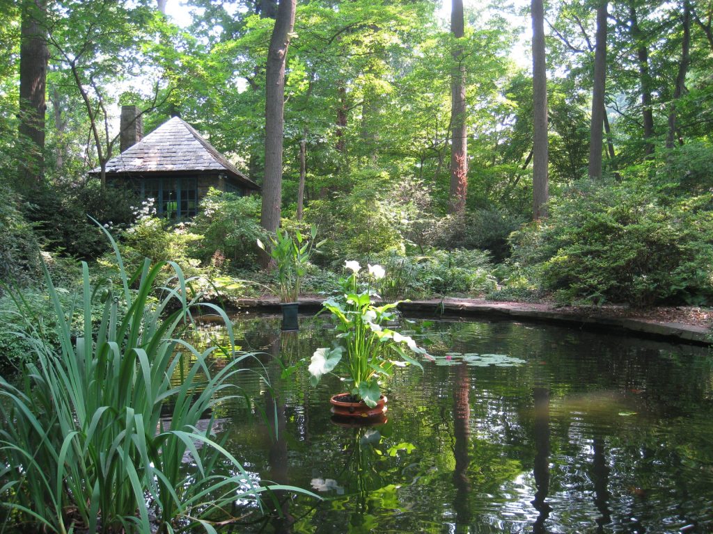 Barnes Foundation Arboretum pond