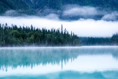 Lake and forest