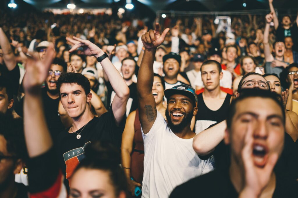 Crowd at a concert