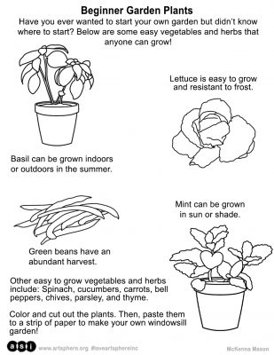 Beginner Plants Handout