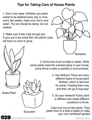 Taking Care of House Plants Handout