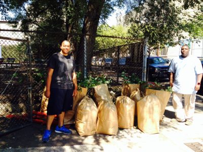 Volunteers Cleaning up