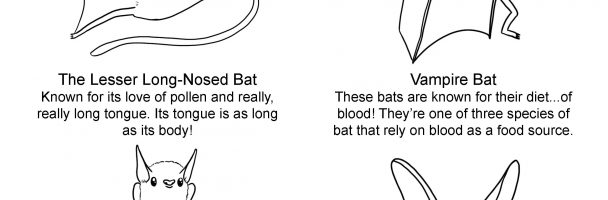 International Bat Appreciation Day