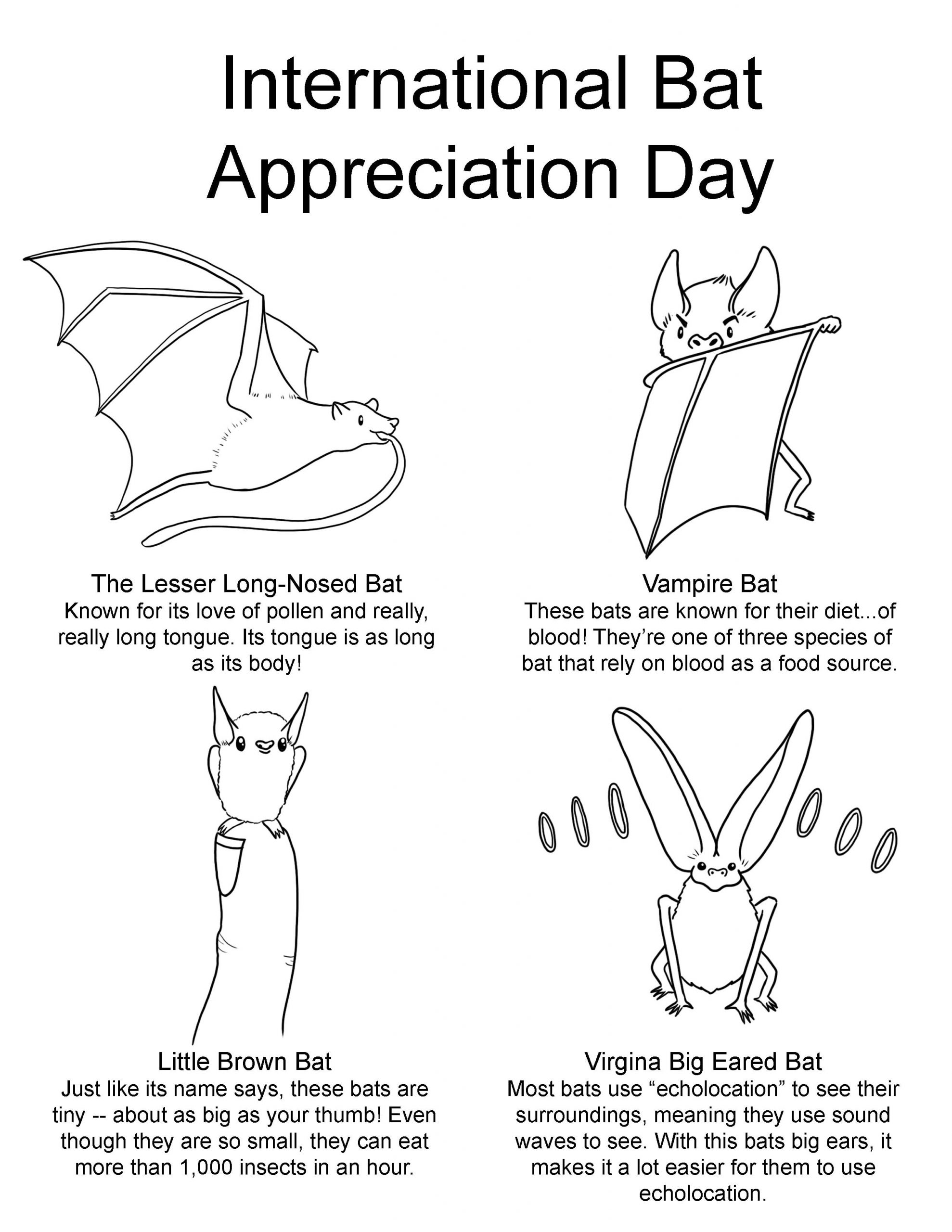 International Bat Appreciation Day Art Sphere Inc.