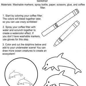 Dolphin Craft