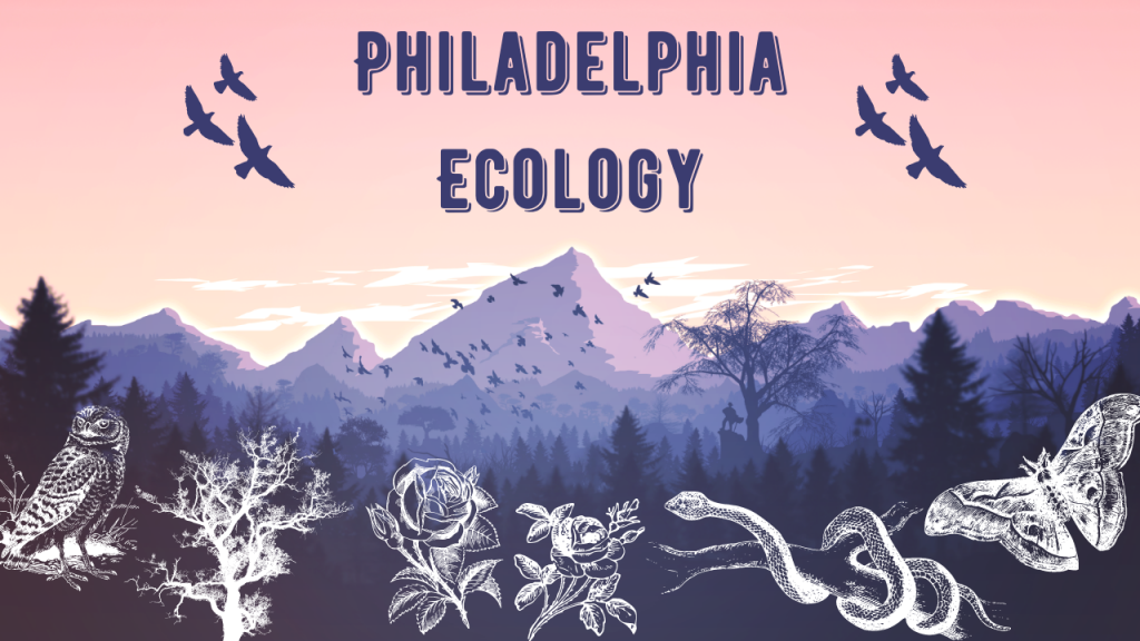 Philadelphia Ecology Graphic