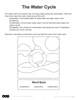 The Water Cycle | Art Sphere Inc.