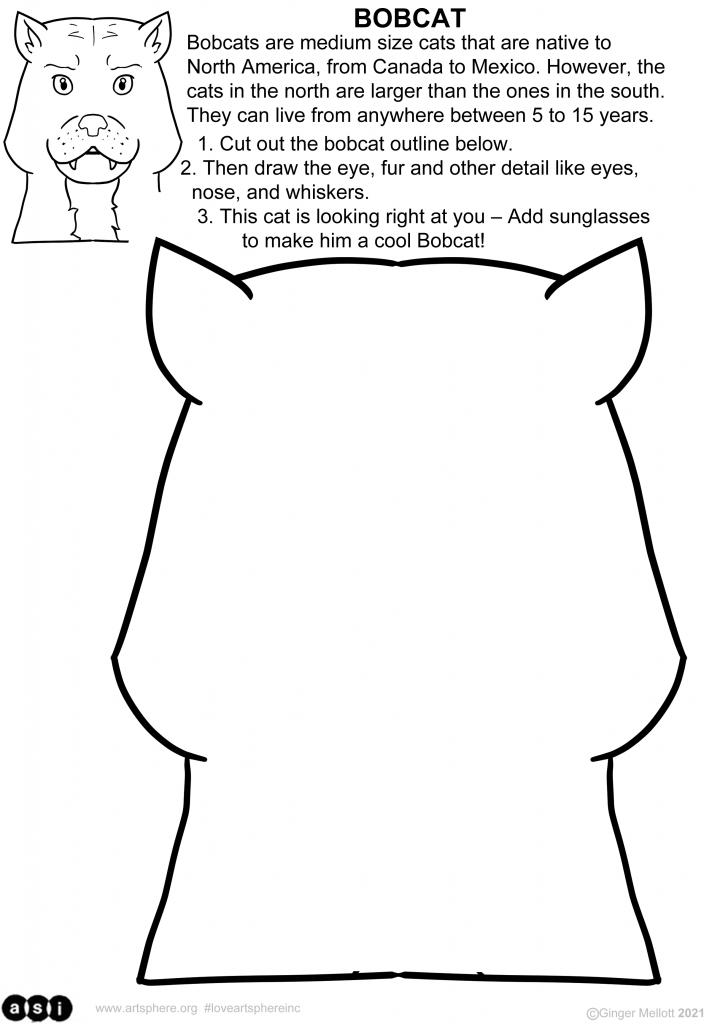 Draw a Bobcat