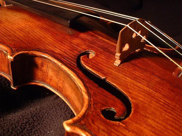 Close-Up of a Violin