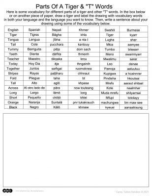 Parts Of A Tiger & “T” Words Handout