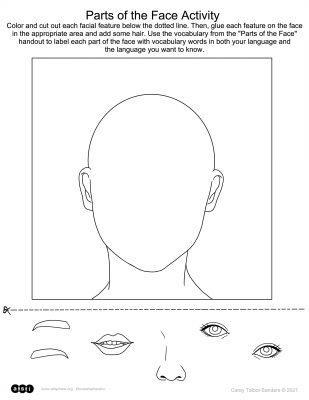 Parts of The Face Handouts