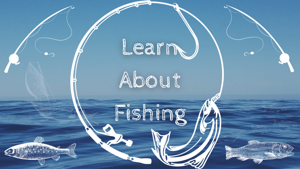 Learn About Fishing Graphic