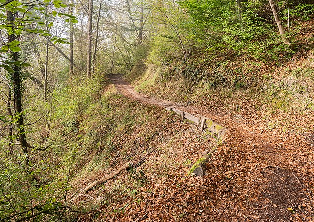 Hiking path in Tolmin