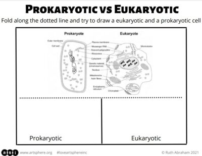 Biology Basics for Elementary School Students