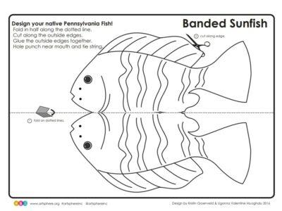 Banded Sunfish