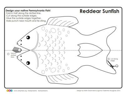 Reddear Sunfish
