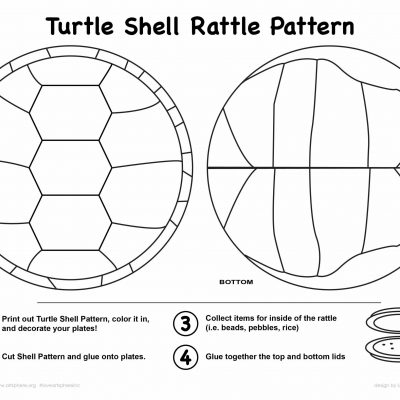Turtle Shell Rattle