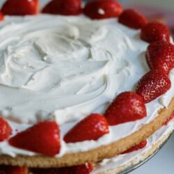 National Bavarian Cream Pie Day