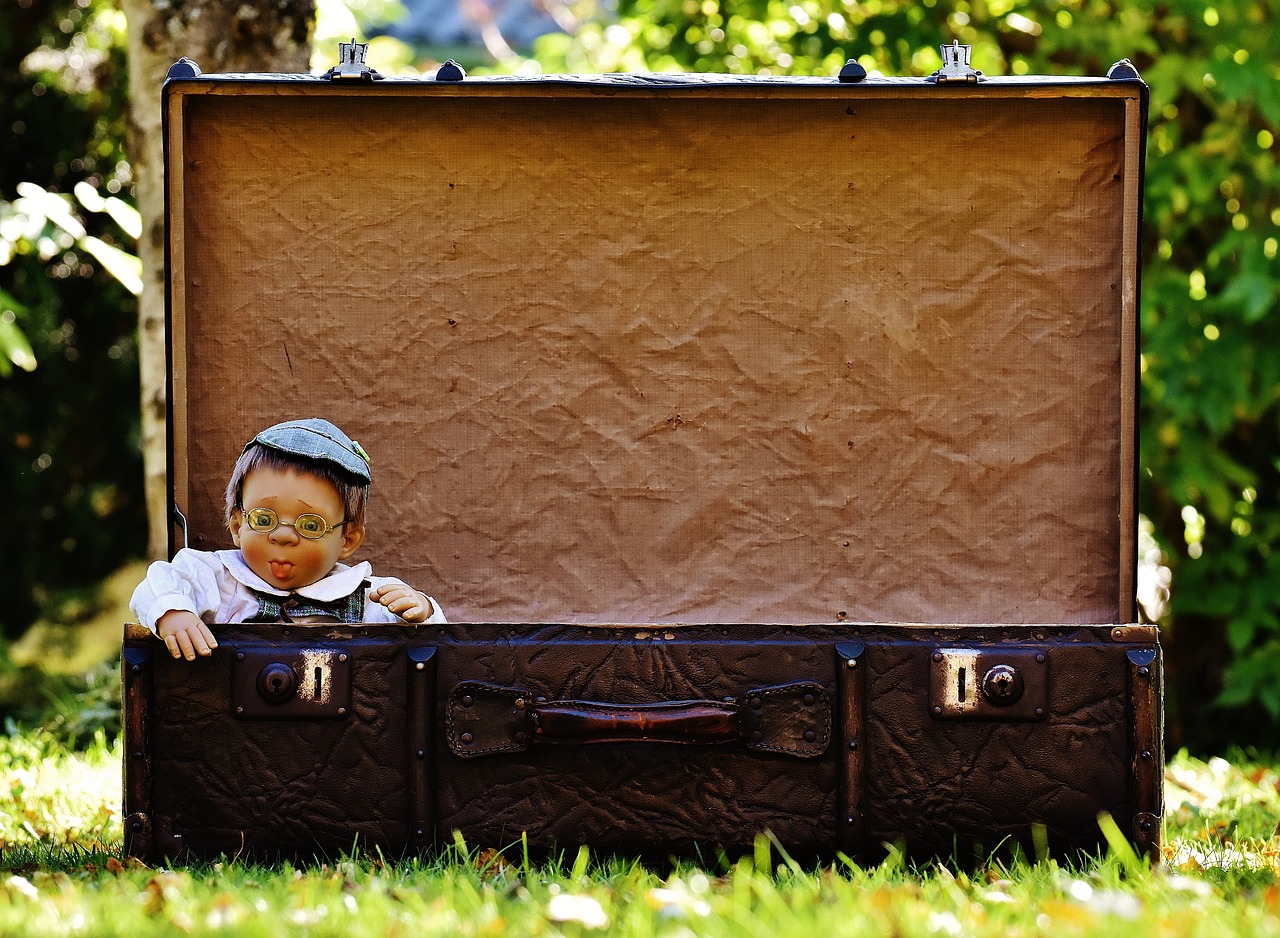 Marionette boy in suitcase