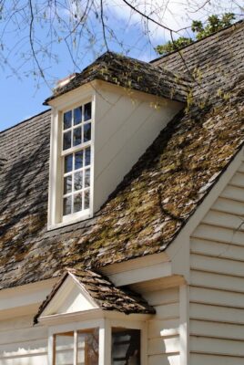 Attic window, also known as a dormer.