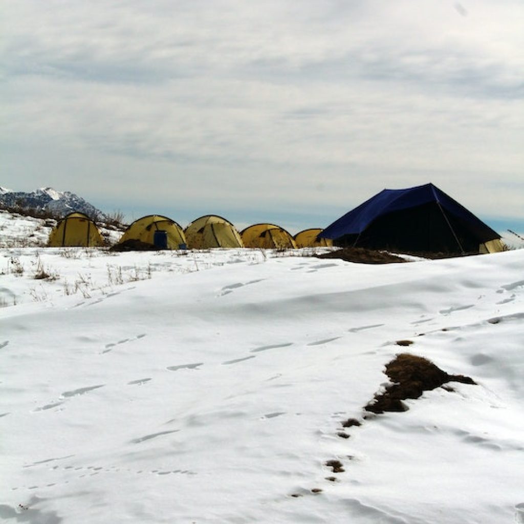 5 small brown tents next to a larger black tent in the snow
