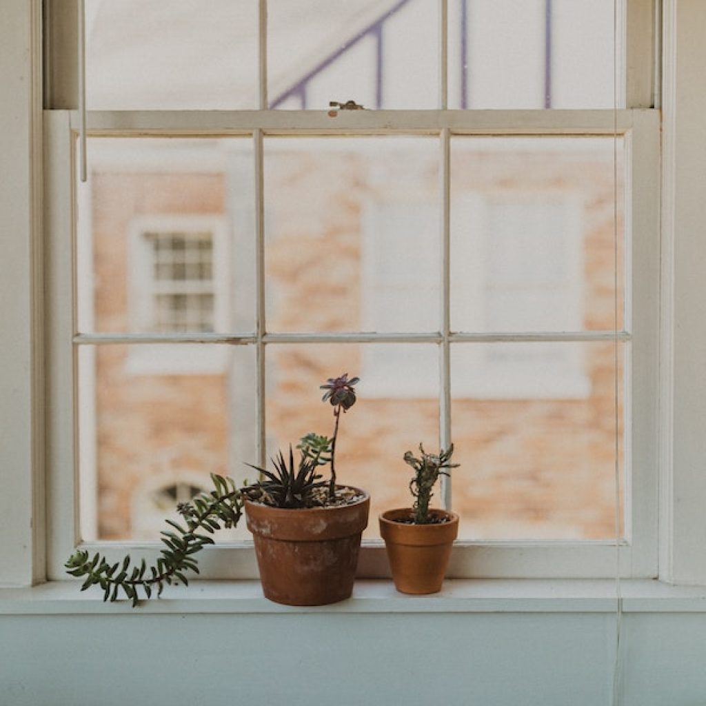 window facing out to a brick apartment building with two plants sitting on the window sill