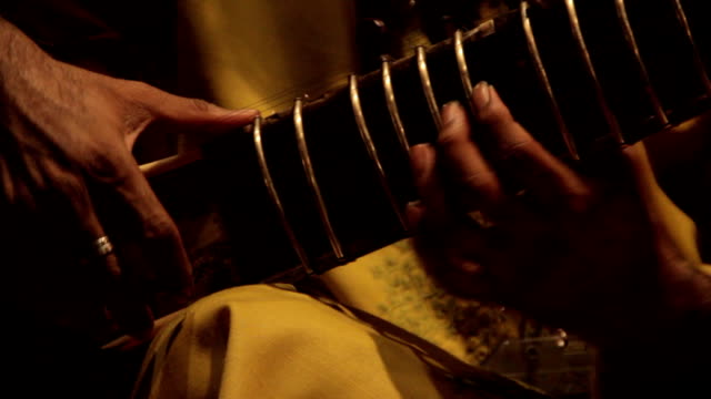 Indian musician playing the sitar