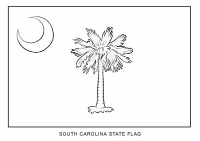 South Carolina state flag outline, United States of America