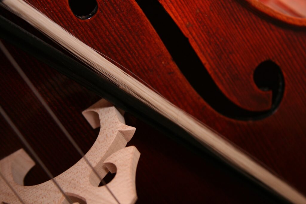 Close-up of violin