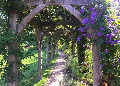 Picture of an arbor