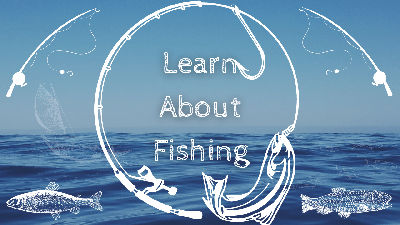 Learn about Fishing Graphic