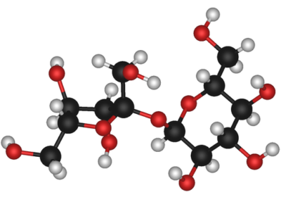 Picture of Sucrose Molecule