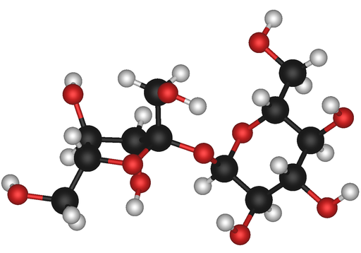 Picture of Sucrose Molecule