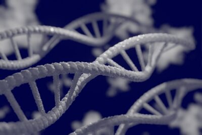 Picture of DNA